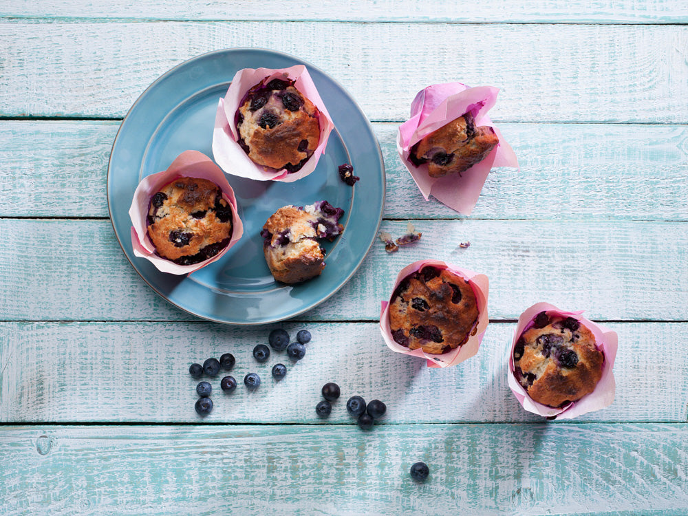Blueberry Muffin