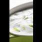 Cucumber Raita Recipe