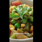 Bell Pepper With Corn Recipe