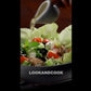 Garden Fresh Greek Salad Recipe