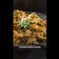 Baingan Bharta Recipe