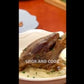 Lamb Shank  (Jedy Bil Zeit)